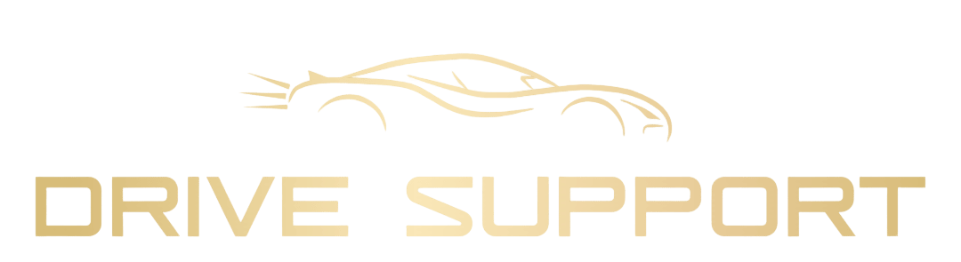 Logotyp drive support